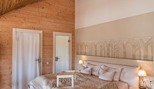 Luxury Room