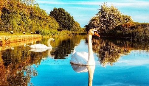 Apartment, Private Bathroom, Canal View