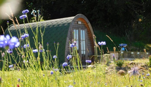 Cabin