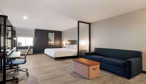 Room, 1 King Bed, Non Smoking (Roll-in Shower)