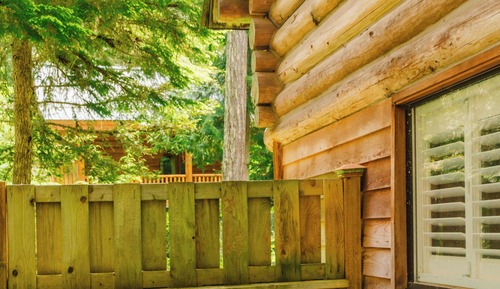 Cabin (Tahoma)