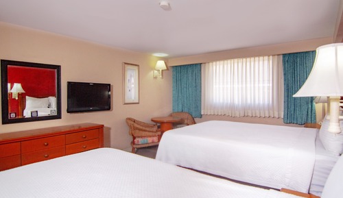 Executive Double Room, 2 Double Beds
