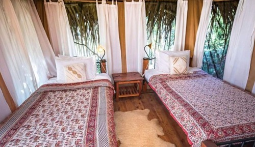 Tent