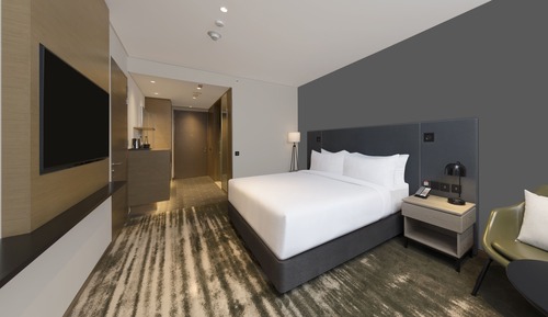 King Accessible Room