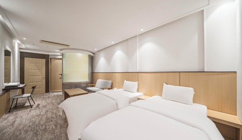 Room (Standard twin (single + single bed))