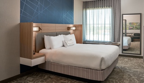 Executive Suite, 1 King Bed with Sofa bed