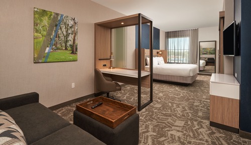 Suite, 1 King Bed with Sofa bed, Non Smoking (Mobility Accessible, Tub)