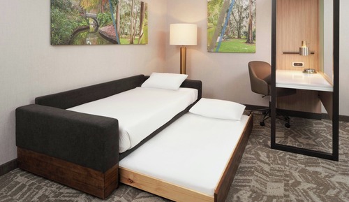 Suite, 1 King Bed with Sofa bed