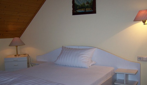 Comfort Single Room