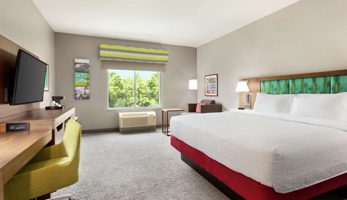 Room, 1 King Bed, Non Smoking (Roll-In Shower)