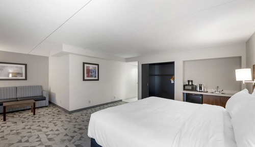 Suite, 1 King Bed, Non Smoking (Larger Room;with Sofabed)