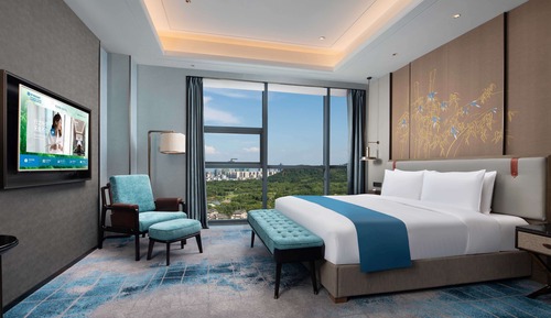 Executive Suite, 1 King Bed