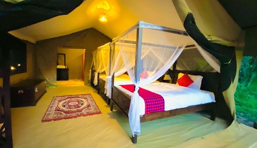 Standard Tent