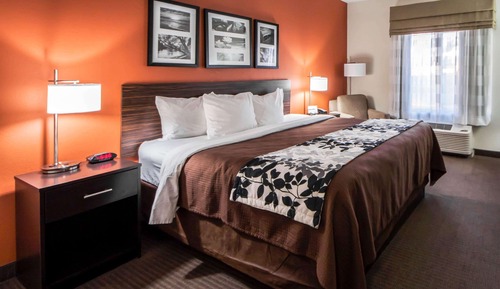 Room, 1 King Bed, Accessible, Non Smoking