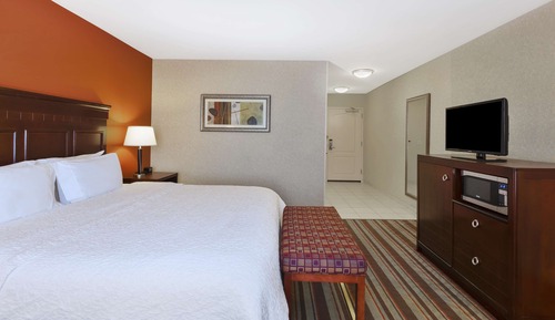 Room, 1 King Bed, Accessible, Bathtub (Hearing)