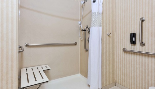 Room, 1 King Bed, Accessible (Mobility & Hearing, Roll-in Shower)