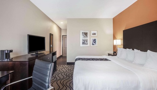 Room, 1 King Bed, Accessible, Non Smoking (Mobility,Hearing,Roll-In Shower)