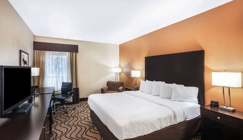 Room, 1 King Bed, Non Smoking