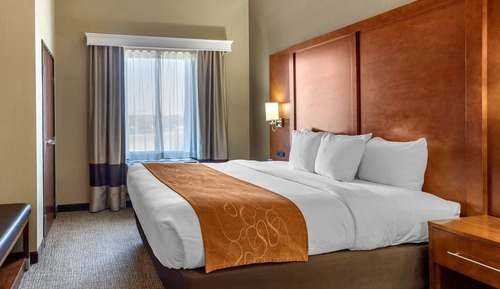 Suite, 1 King Bed with Sofa bed, Accessible, Non Smoking