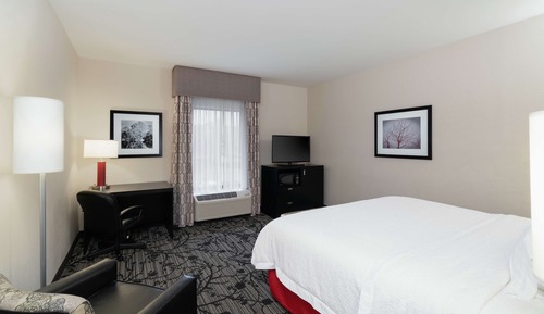 Room, 1 King Bed