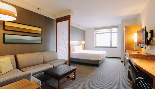 Room, 1 King Bed, Accessible (Roll-in Shower)