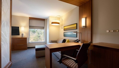 Suite, 1 King Bed with Sofa bed