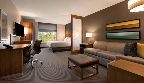 Room, 1 King Bed with Sofa bed