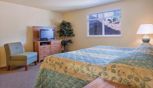 Standard Condo, 1 Bedroom, Non Smoking, Kitchen