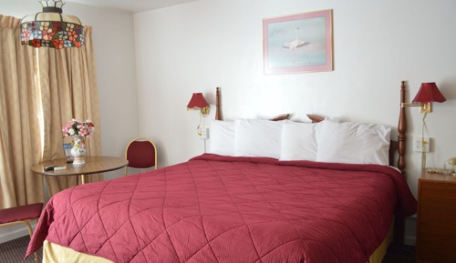 Room, 1 King Bed