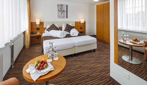 Double Room, Park View