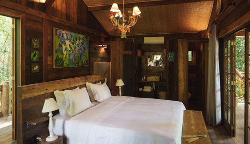 Tree Cabin