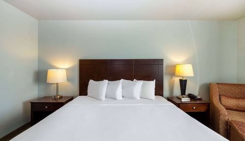 Room, 1 King Bed, Non Smoking
