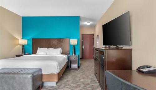 Standard Room, 1 King Bed, Non Smoking, Refrigerator & Microwave (Shower Only)