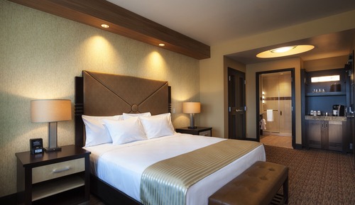 Room, 1 King Bed