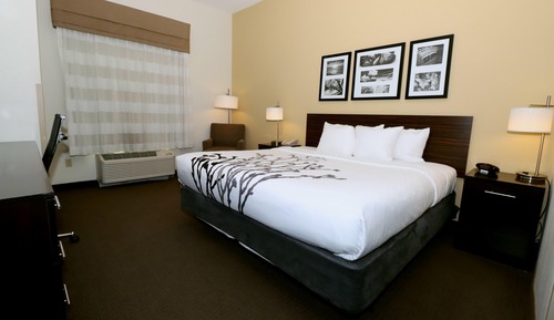 Room, 1 King Bed, Accessible, Non Smoking