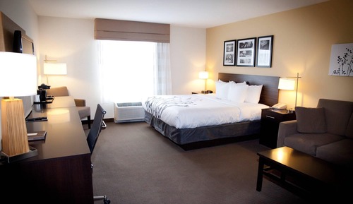 Suite, 1 King Bed with Sofa bed, Accessible, Non Smoking