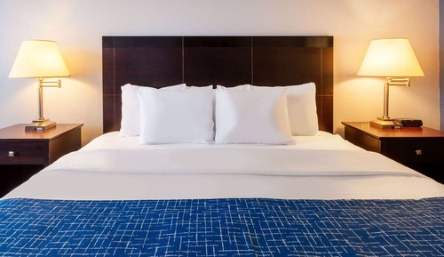 Room, 1 King Bed, Non Smoking