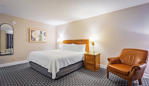 Basic Single Room