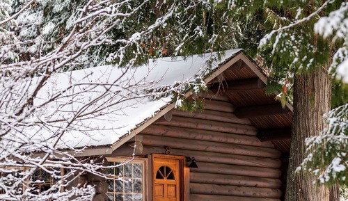 Premium Cabin, 2 Queen Beds, Accessible, Fireplace