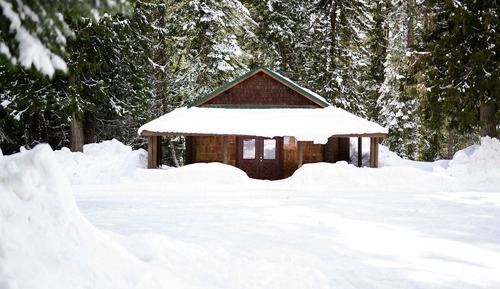 Premium Cabin, Multiple Beds, Fireplace