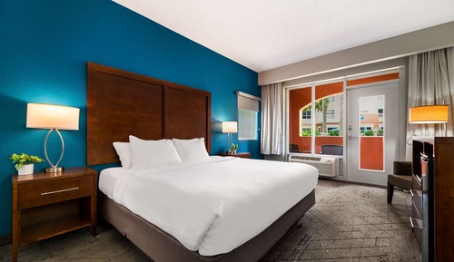 Standard Room, 1 King Bed, Accessible, Non Smoking