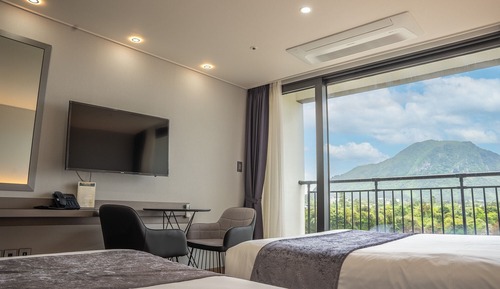 Deluxe Twin Room, Terrace