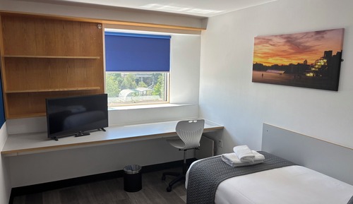 Premium Single Room