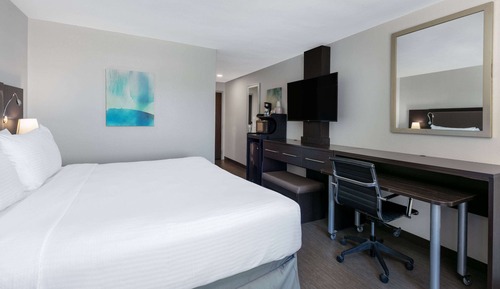 Room, 1 King Bed, Accessible, Non Smoking (Roll-In Shower)
