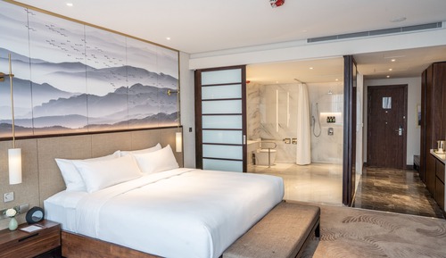 Standard Room, 1 King Bed, Accessible