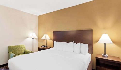 Standard Room, 1 King Bed, Accessible, Refrigerator & Microwave (Walk-in Shower)