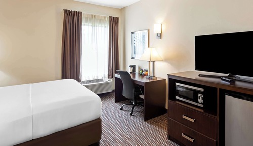 Standard Room, 1 Queen Bed, Non Smoking, Refrigerator & Microwave