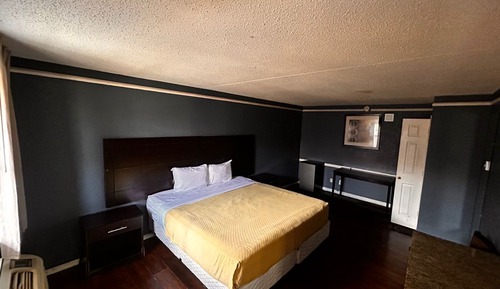 Room, 1 King Bed