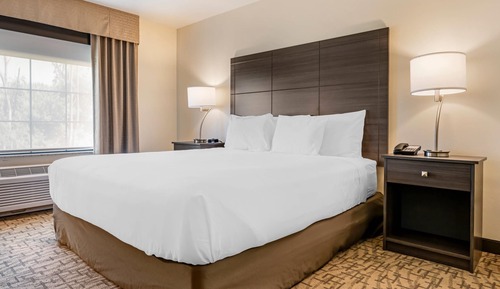 Room, 1 King Bed, Accessible, Non Smoking
