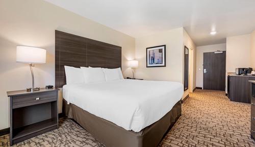 Standard Room, 1 King Bed, Non Smoking